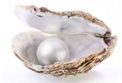 珍珠与长寿和健康 珍珠的药用价值