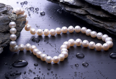 珍珠的历史渊源如何？海水养珠为何比淡水养珠价位高？