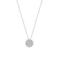 『钻石之王』海瑞温斯顿全新芙蓉錦簇Lotus Cluster珠宝系列清丽登场