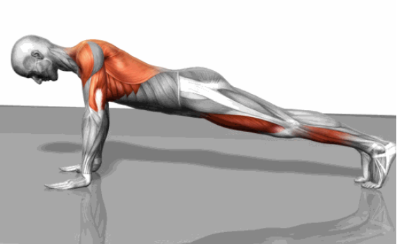 ​如何锻炼三角肌后束，三角肌后束徒手锻炼方法